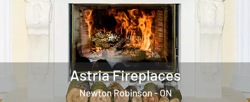  Astria Fireplaces Newton Robinson - ON
