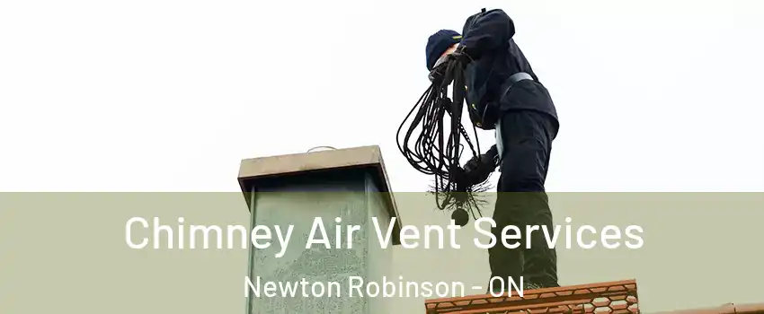  Chimney Air Vent Services Newton Robinson - ON