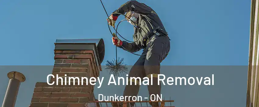 Chimney Animal Removal Dunkerron - ON