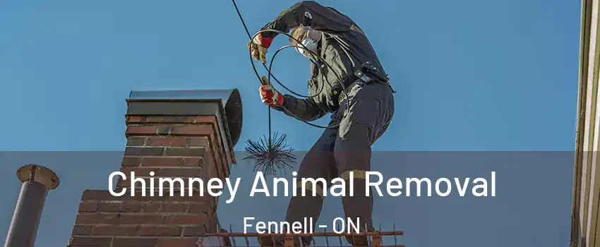 Chimney Animal Removal Fennell - ON