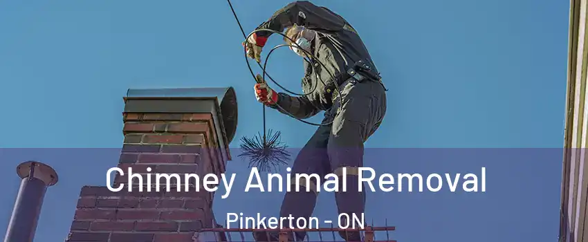 Chimney Animal Removal Pinkerton - ON