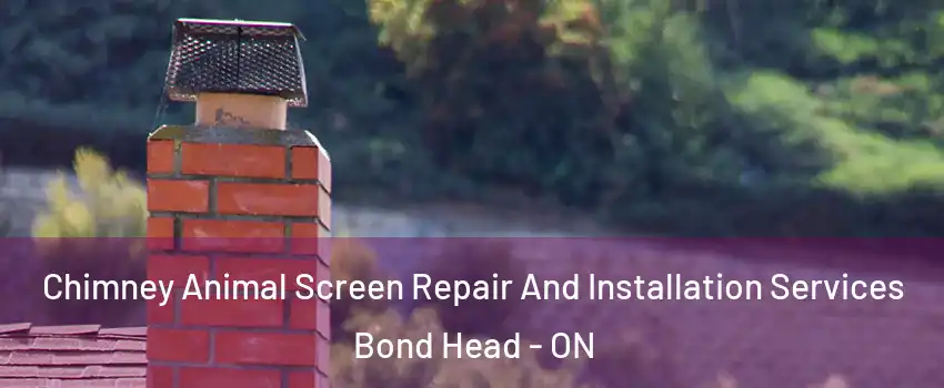  Chimney Animal Screen Repair And Installation Services Bond Head - ON