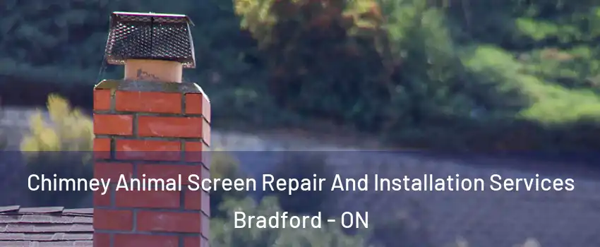  Chimney Animal Screen Repair And Installation Services Bradford - ON