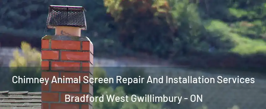  Chimney Animal Screen Repair And Installation Services Bradford West Gwillimbury - ON