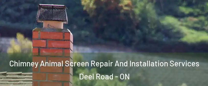  Chimney Animal Screen Repair And Installation Services Deel Road - ON