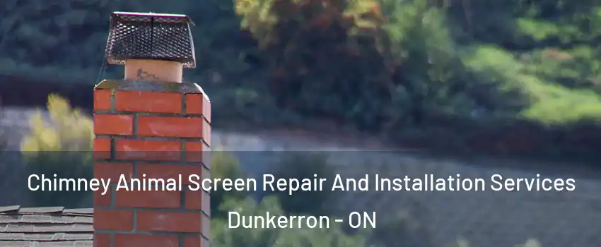  Chimney Animal Screen Repair And Installation Services Dunkerron - ON