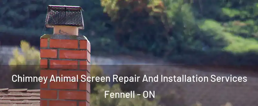 Chimney Animal Screen Repair And Installation Services Fennell - ON