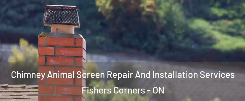  Chimney Animal Screen Repair And Installation Services Fishers Corners - ON