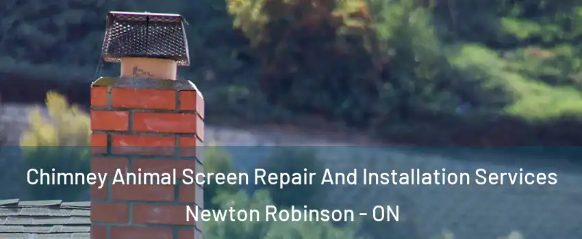  Chimney Animal Screen Repair And Installation Services Newton Robinson - ON