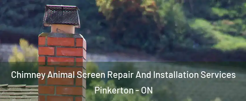  Chimney Animal Screen Repair And Installation Services Pinkerton - ON