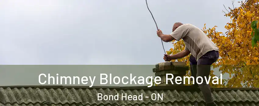  Chimney Blockage Removal Bond Head - ON
