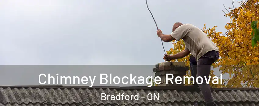  Chimney Blockage Removal Bradford - ON