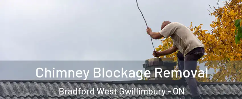  Chimney Blockage Removal Bradford West Gwillimbury - ON