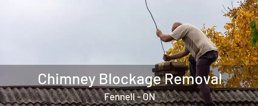  Chimney Blockage Removal Fennell - ON
