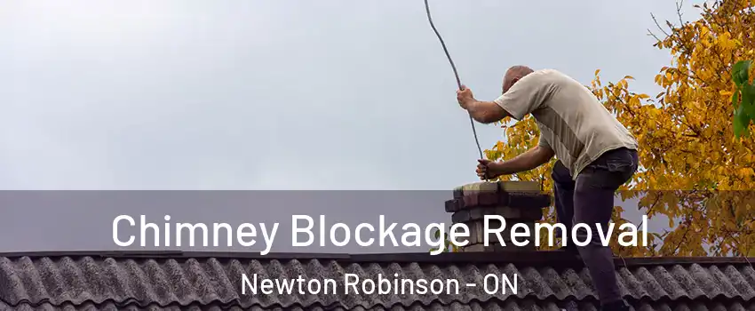  Chimney Blockage Removal Newton Robinson - ON