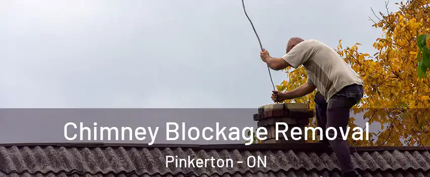  Chimney Blockage Removal Pinkerton - ON