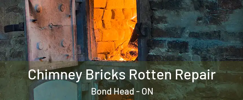  Chimney Bricks Rotten Repair Bond Head - ON