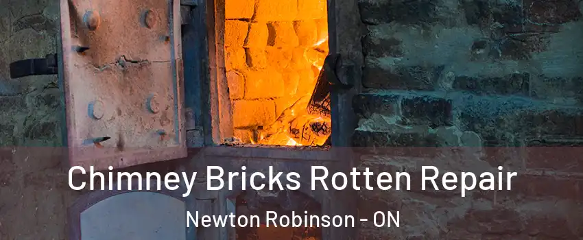  Chimney Bricks Rotten Repair Newton Robinson - ON