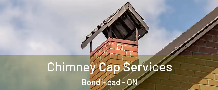  Chimney Cap Services Bond Head - ON