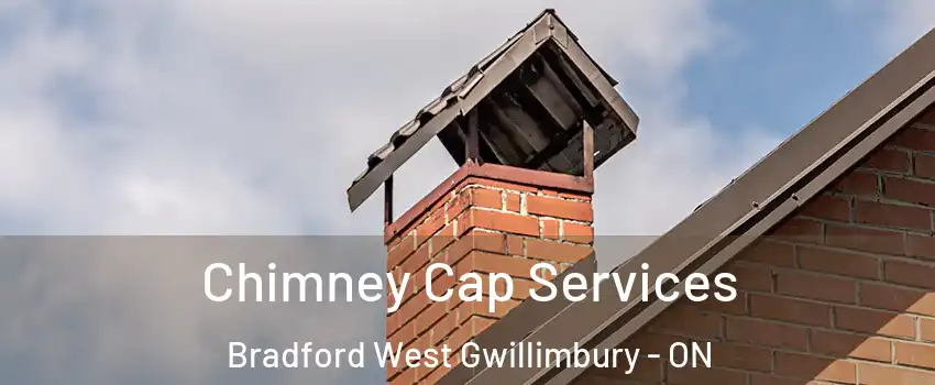  Chimney Cap Services Bradford West Gwillimbury - ON