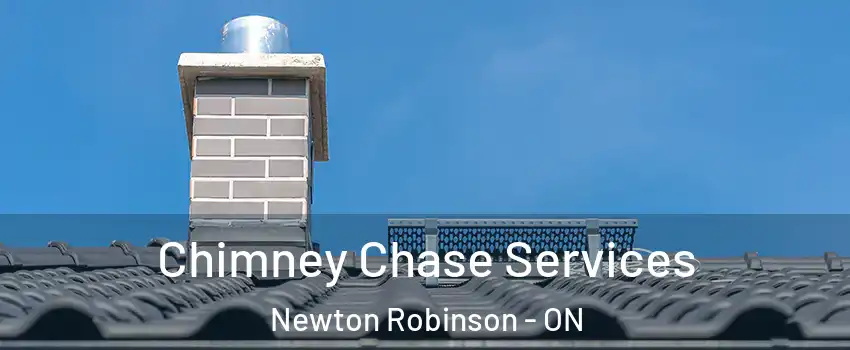 Chimney Chase Services Newton Robinson - ON