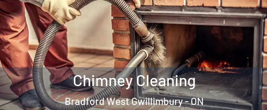  Chimney Cleaning Bradford West Gwillimbury - ON