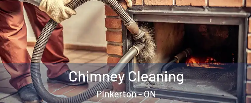  Chimney Cleaning Pinkerton - ON