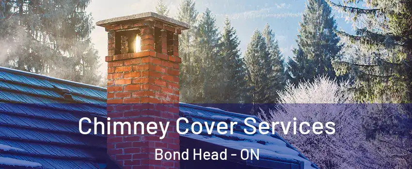  Chimney Cover Services Bond Head - ON