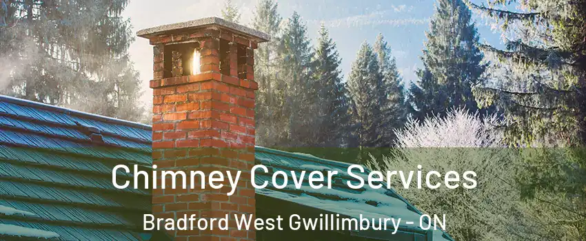  Chimney Cover Services Bradford West Gwillimbury - ON