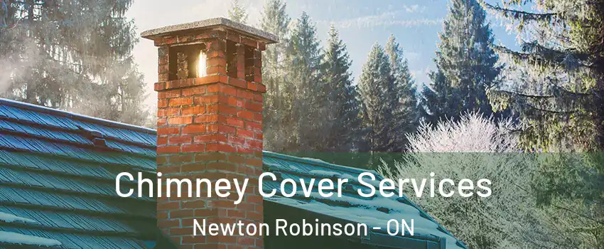  Chimney Cover Services Newton Robinson - ON