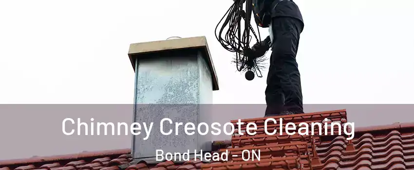 Chimney Creosote Cleaning Bond Head - ON