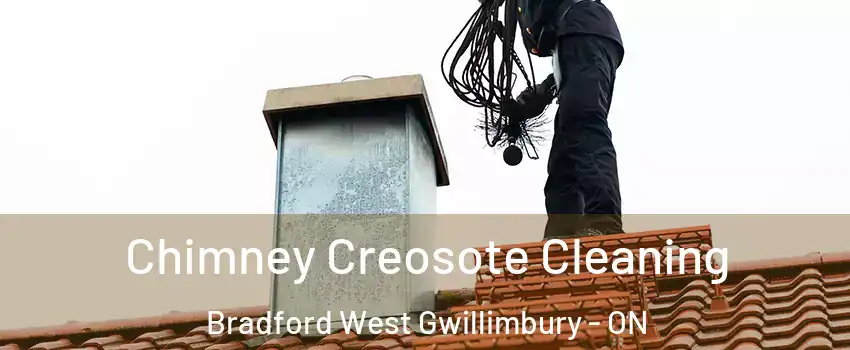  Chimney Creosote Cleaning Bradford West Gwillimbury - ON