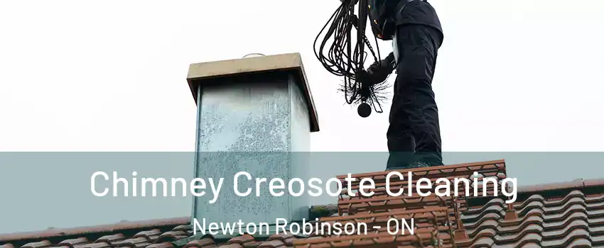  Chimney Creosote Cleaning Newton Robinson - ON