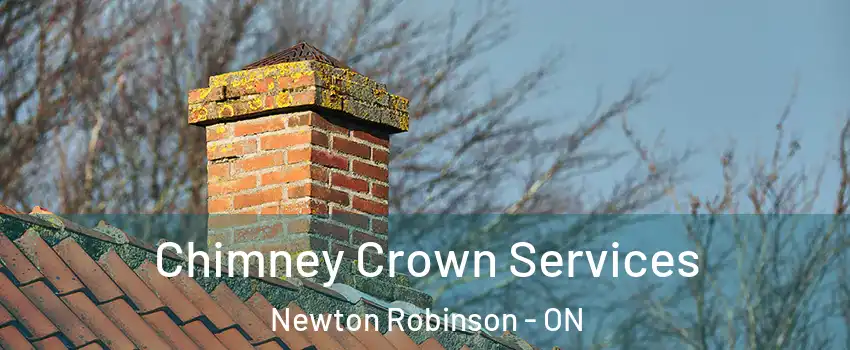  Chimney Crown Services Newton Robinson - ON