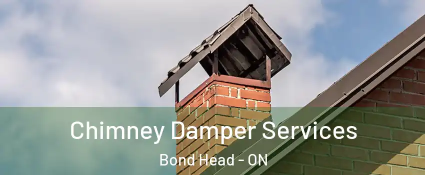  Chimney Damper Services Bond Head - ON
