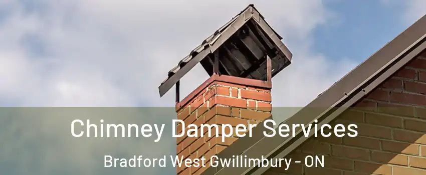  Chimney Damper Services Bradford West Gwillimbury - ON