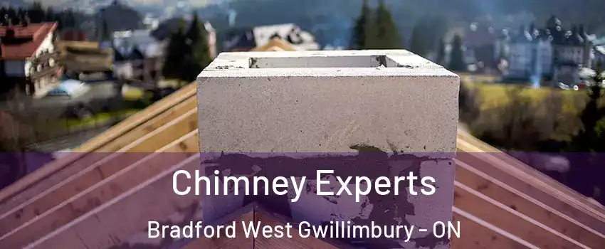Chimney Experts Bradford West Gwillimbury - ON