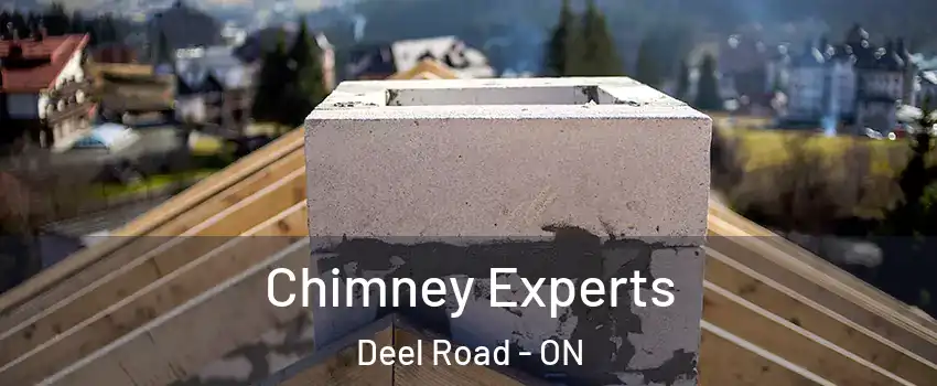 Chimney Experts Deel Road - ON