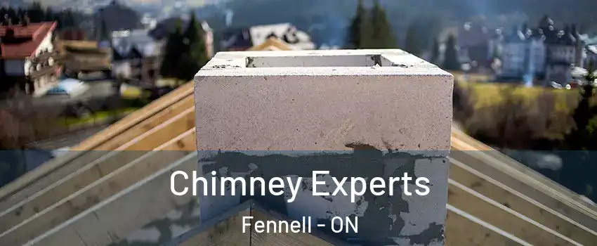 Chimney Experts Fennell - ON