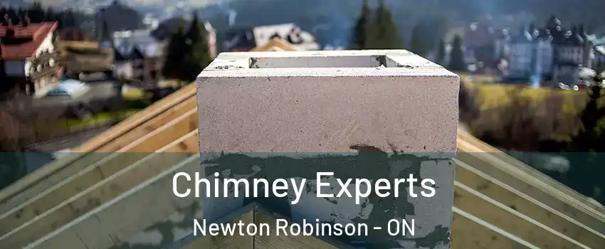 Chimney Experts Newton Robinson - ON