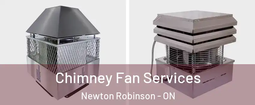  Chimney Fan Services Newton Robinson - ON