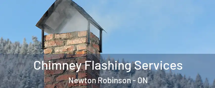 Chimney Flashing Services Newton Robinson - ON