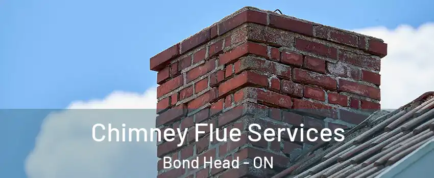  Chimney Flue Services Bond Head - ON