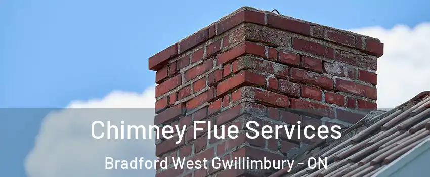  Chimney Flue Services Bradford West Gwillimbury - ON