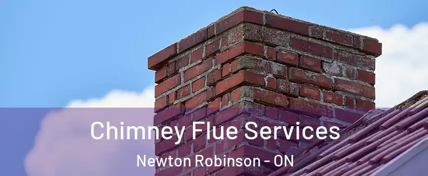  Chimney Flue Services Newton Robinson - ON