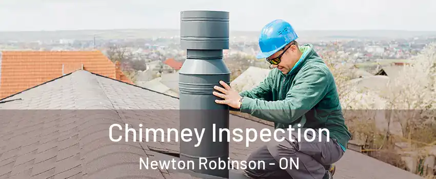  Chimney Inspection Newton Robinson - ON