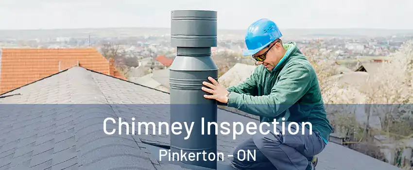  Chimney Inspection Pinkerton - ON