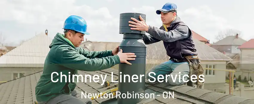  Chimney Liner Services Newton Robinson - ON