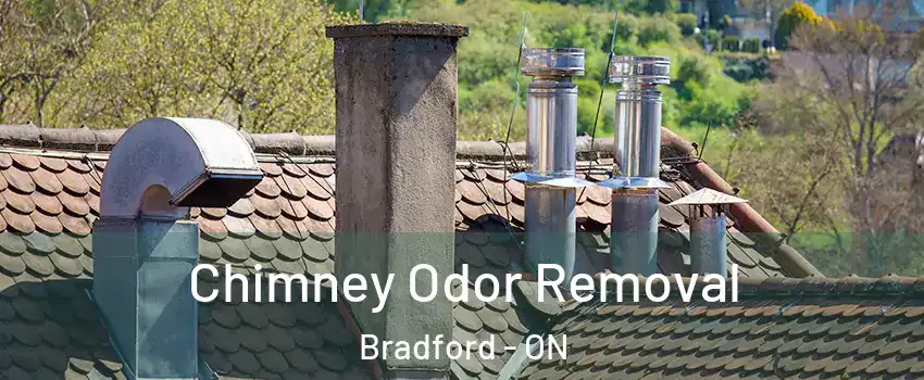  Chimney Odor Removal Bradford - ON