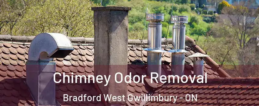  Chimney Odor Removal Bradford West Gwillimbury - ON